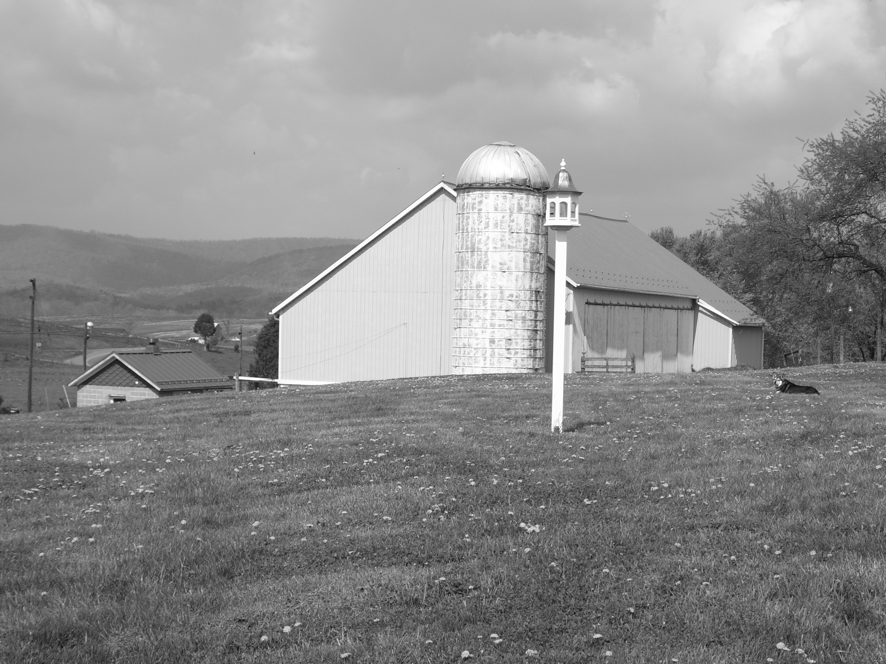 Barn and silo